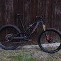 IMG 6295